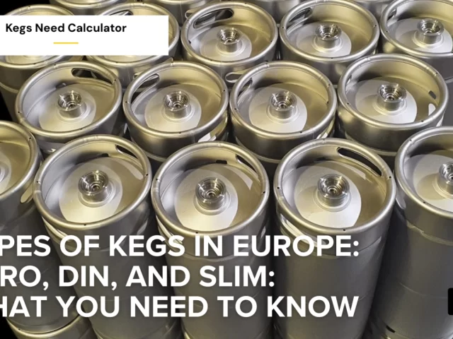 Types of Kegs in Europe: Euro, DIN, and Slim – What You Need to Know